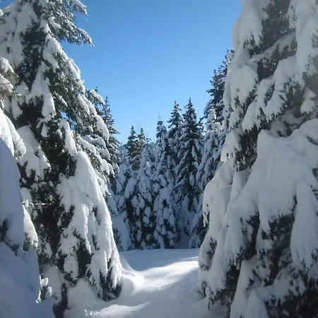 Suite Chalet Apartmán Ponte Di Legno